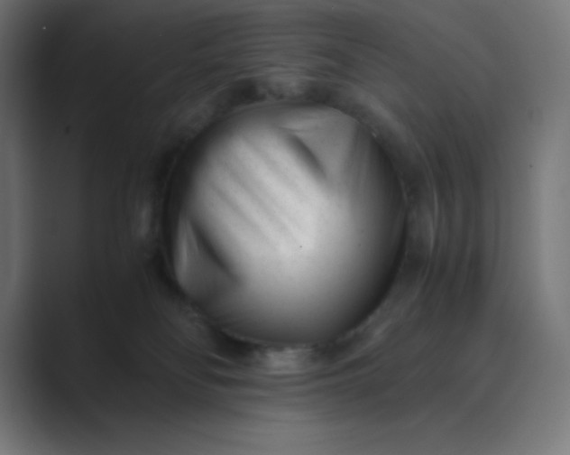 X0000089450134200706291450