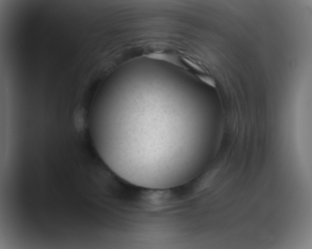 X0000089450135200706291450