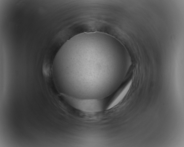 X0000089450137200706291450