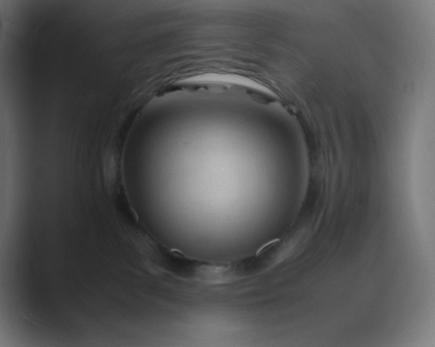 X0000089450139200706291450