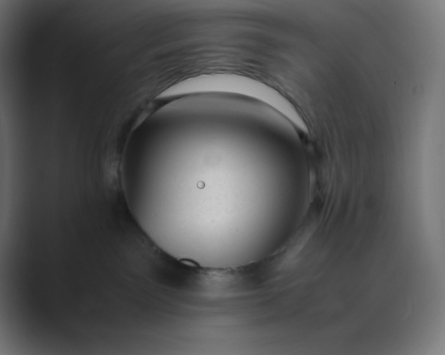 X0000089450141200706291450