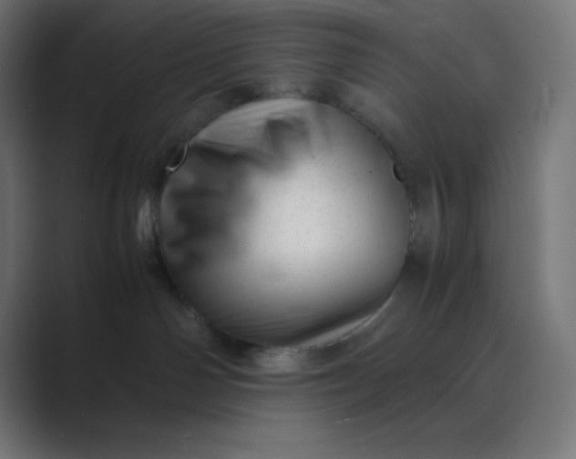 X0000089450142200706291450