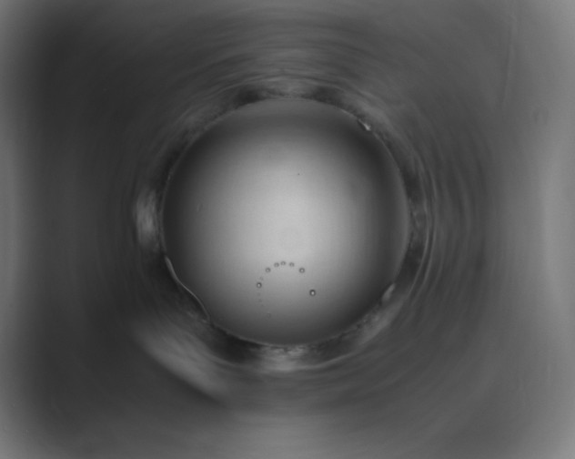 X0000089450143200706291450