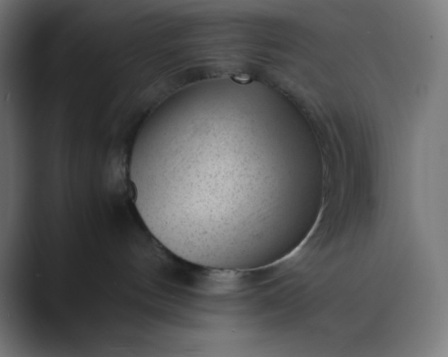 X0000089450144200706291450