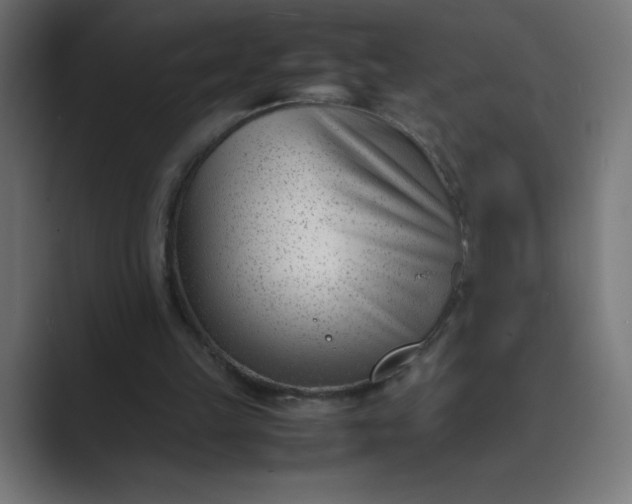 X0000089450149200706291449