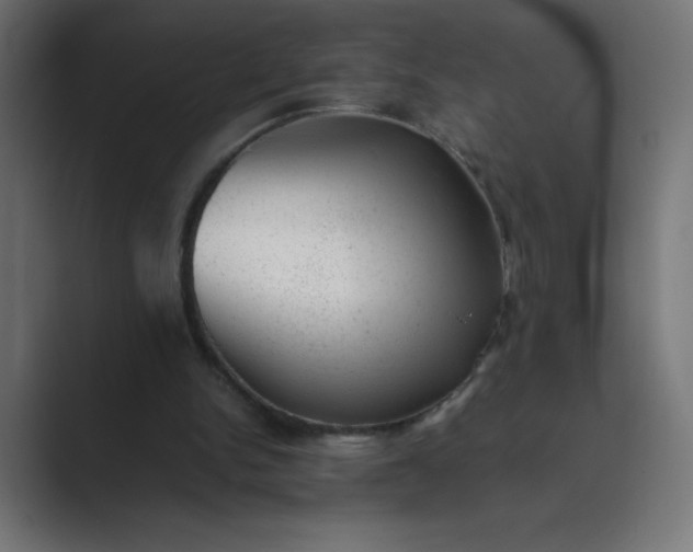 X0000089450150200706291449