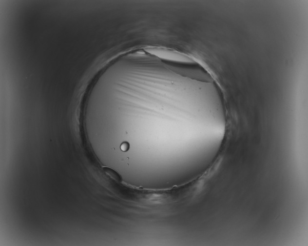 X0000089450151200706291449