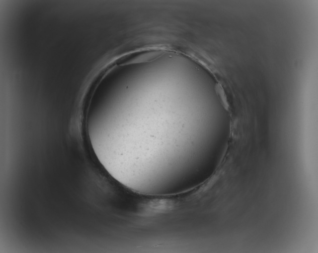 X0000089450152200706291449