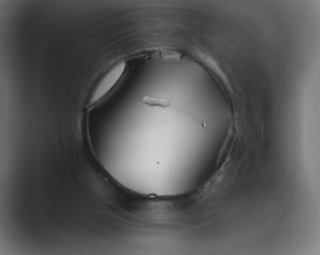 X0000089450154200706291449