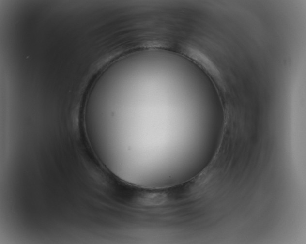 X0000089450155200706291449