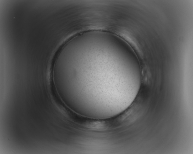 X0000089450156200706291449