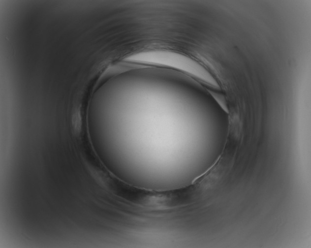 X0000089450158200706291449
