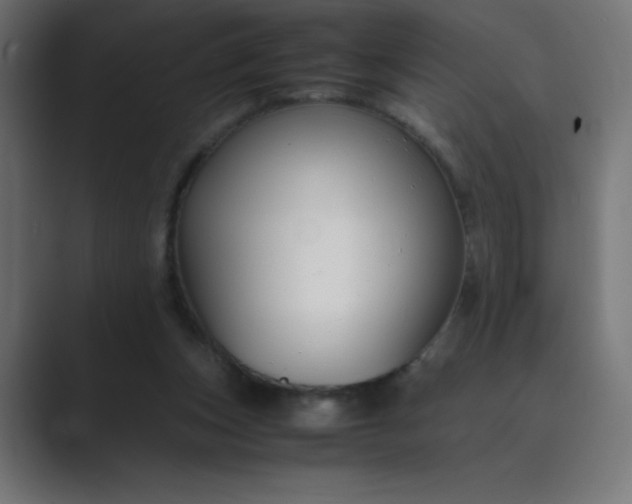 X0000089450159200706291449