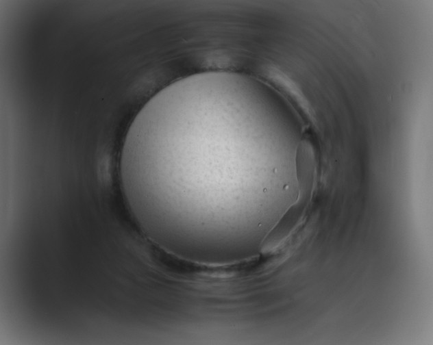 X0000089450161200706291449