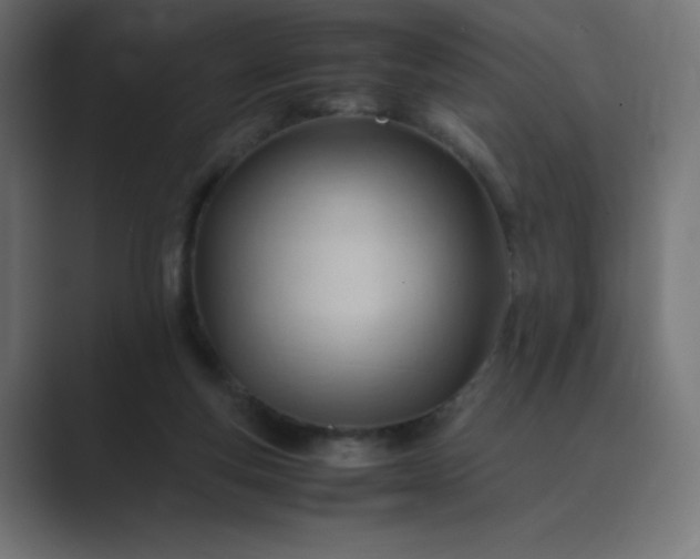 X0000089450163200706291449