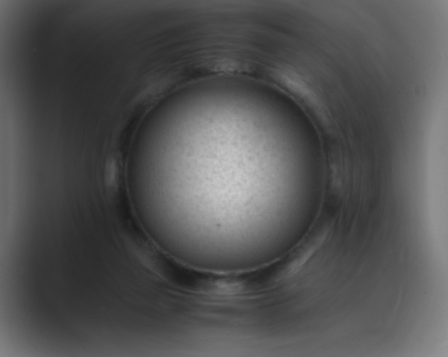X0000089450165200706291449