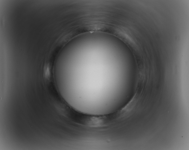 X0000089450166200706291449