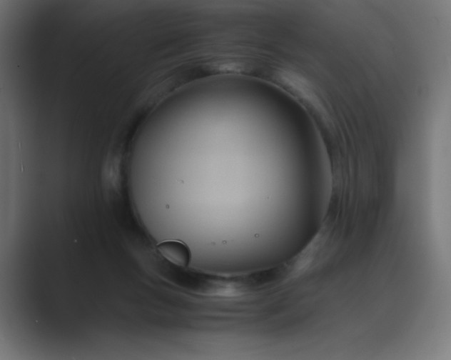 X0000089450167200706291450