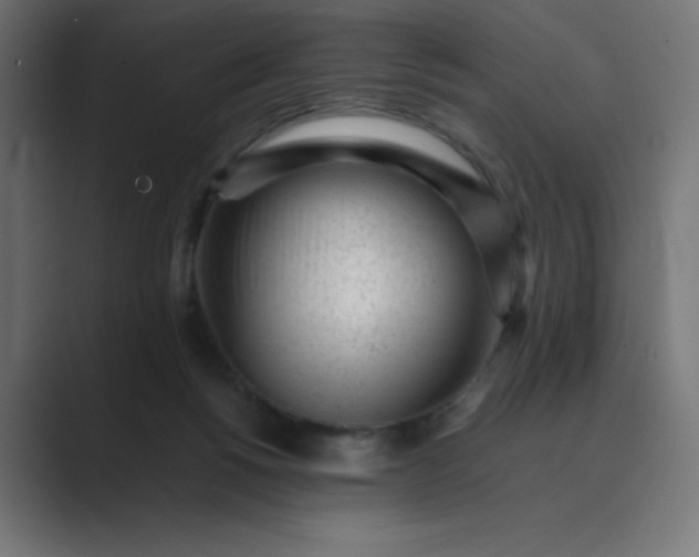X0000089450168200706291450