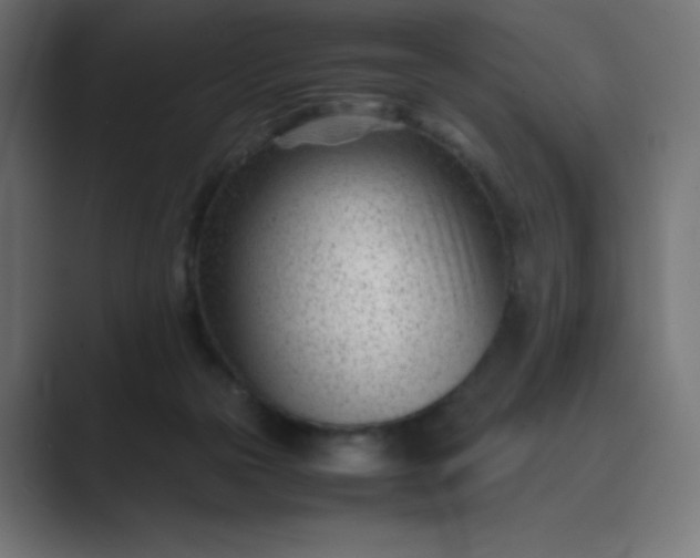 X0000089450169200706291450