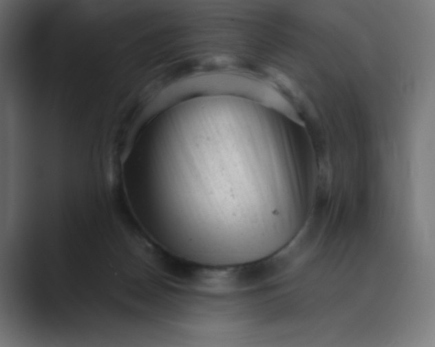 X0000089450170200706291450