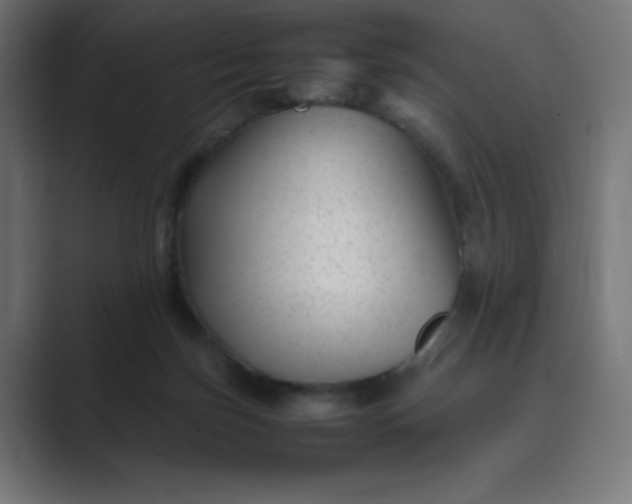 X0000089450171200706291450