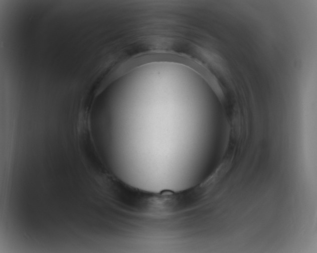 X0000089450172200706291450