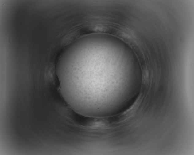 X0000089450175200706291450