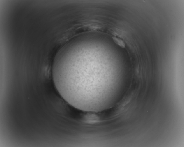 X0000089450177200706291450