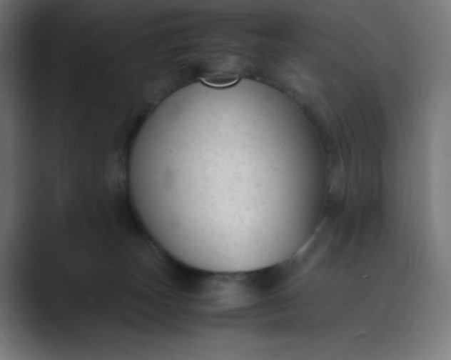 X0000089450179200706291450
