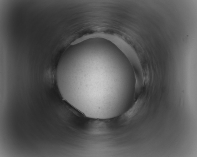 X0000089450180200706291450