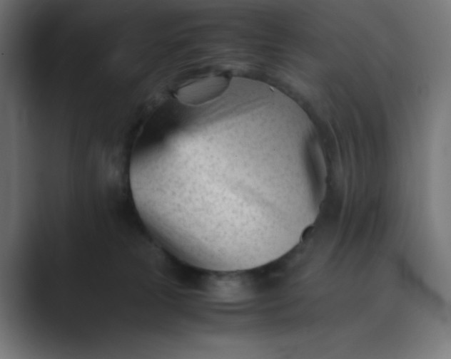 X0000089450181200706291450