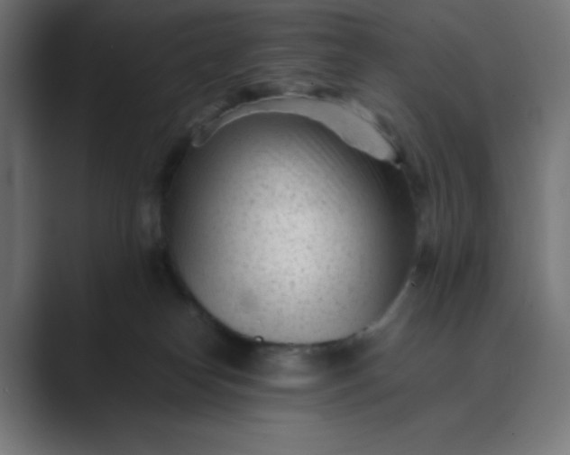 X0000089450182200706291450