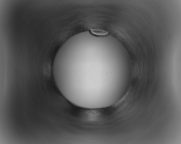 X0000089450183200706291450