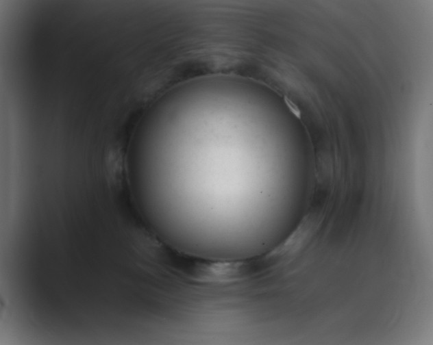 X0000089450184200706291450