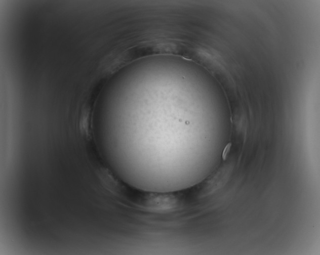 X0000089450185200706291450