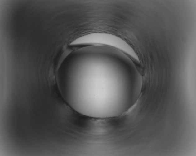 X0000089450186200706291450