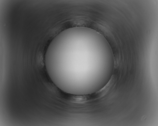 X0000089450187200706291450