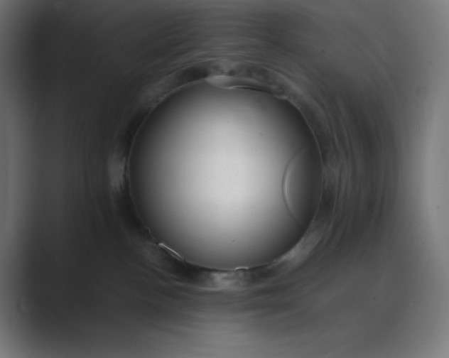 X0000089450188200706291450