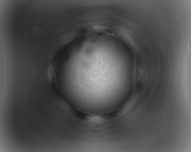 X0000089450189200706291450