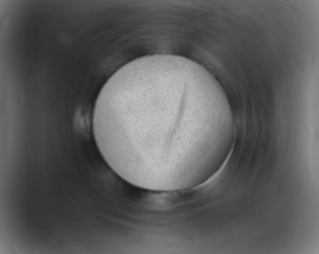 X0000089450190200706291450