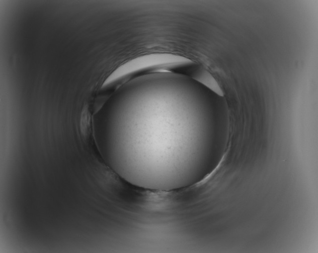 X0000089450192200706291450