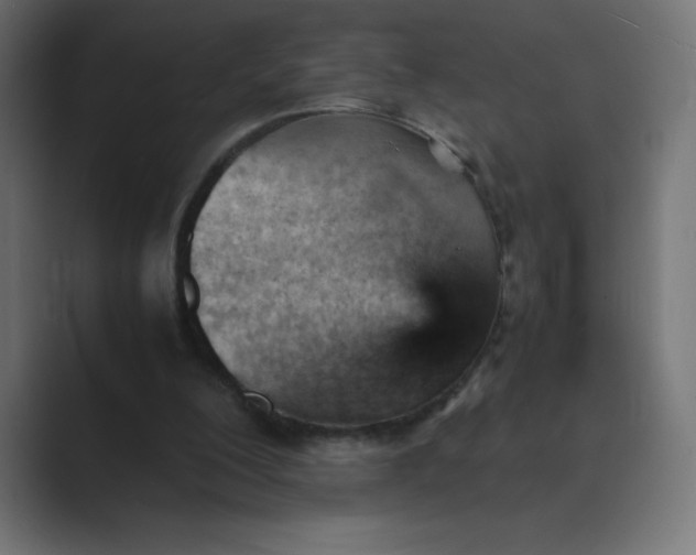 X0000089450200200706291449