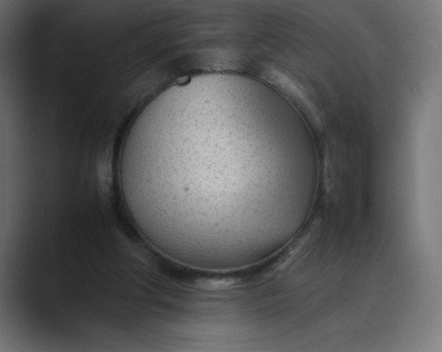 X0000089450202200706291449