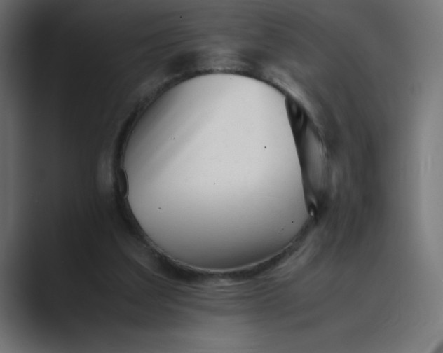 X0000089450203200706291449