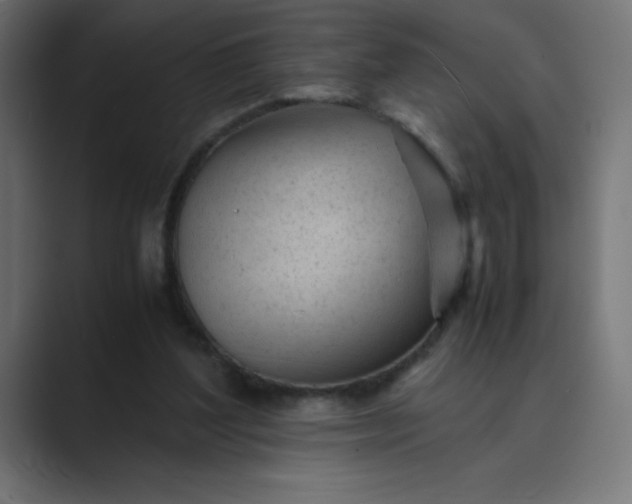 X0000089450204200706291449