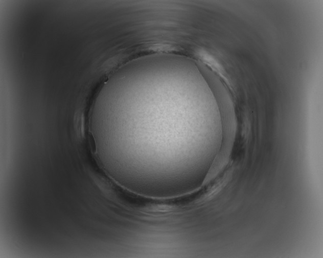 X0000089450205200706291449