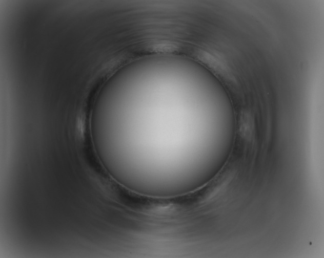 X0000089450206200706291449
