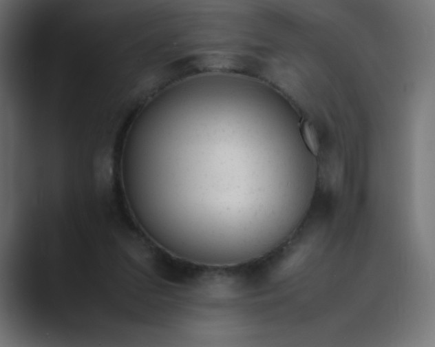 X0000089450207200706291449