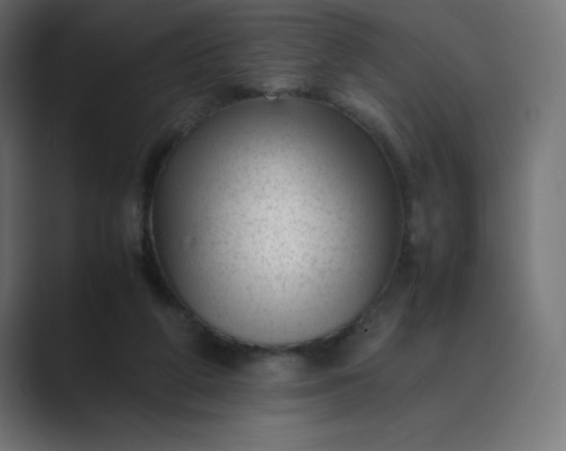 X0000089450210200706291449